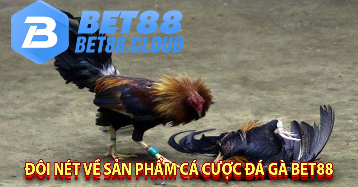 Đôi nét về sản phẩm cá cược đá gà bet88