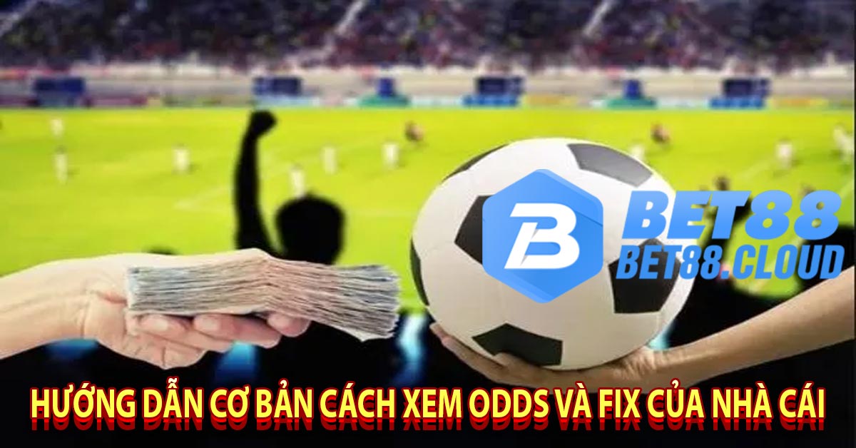 Hướng Dẫn Cơ Bản Cách Xem odds và fix của nhà cái 